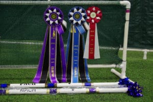 MACH, PACH, and Master Title Ribbons; MACH and PACH bars; Medallion Rottweiler Club