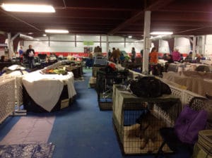 Dog crating area at TNT in Midland, MI