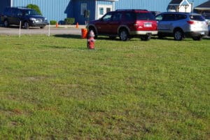 Dog potty area with fire hydrant on opposite side of drive at TNT, Midland MI