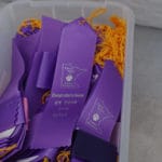 Flat, purple new title ribbons at CACM agility trial, St Cloud MN