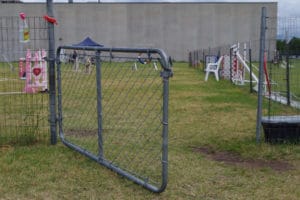 Ring entry gate, CACM agility trial, St. Cloud M
