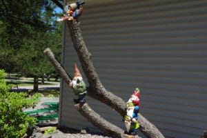 Three gnomes on tree branch stumps