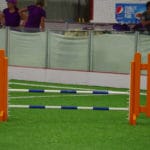 Agility wing jump with two poles