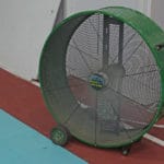 Large green and round floor fan