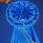 Rosette close-up of GRCA MACH or PACH ribbon