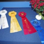 GRCA placement and Q ribbons