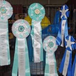 Two different rosette ribbons for master and T2B titles