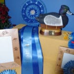 GRCA Excellence in Agility Rosette