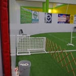 Agility ring gate entry with swing closure. At Crown Sports, Eden MD