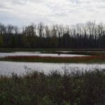 Wetlands, Plex South, Ft Wayne IN