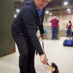 Australian Shepherd puppy being fed a treat by woman holding his leash