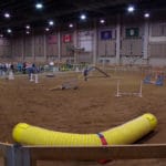 Agility ring on the right side at MSU Livestock Pavilion, Lansing MI.
