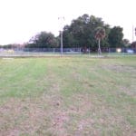 Room to run, Manatee Fairgrounds, Palmetto, FL