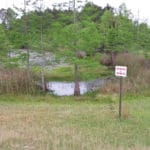 Wetlands, Escambia Equest Ctr, Pensacola, FL