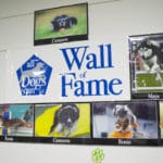 Wall of fame, All Dogs Can, Lapeer MI