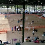 Agility Ring View, Fairgrounds,Palmetto FL