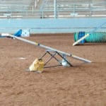 Equipment-teeter, Escambia Equest Ctr, Pensacola, FL