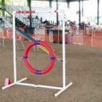 Equipment, tire jump, Manatee Fairgrounds, Palmetto FL