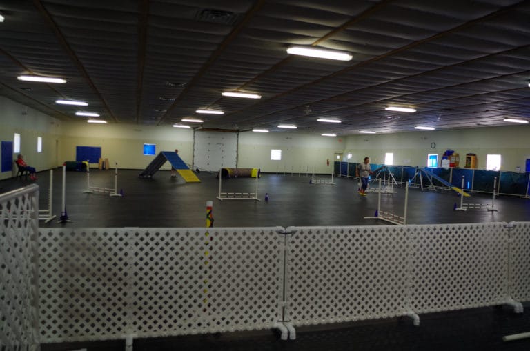 Agility Rings | Northfield Dog Training Center | Ann Arbor MI ...