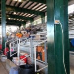 Viewing area, Manatee Fairgrounds, Palmetto FL