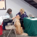 Vendor, Massage, Well Mannered Dog, Wyoming MI