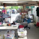 Vendors, Manatee Fairgrounds, Palmetto FL