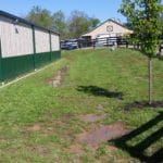 Potty Area, Circle Bar C, La Grange, KY