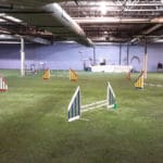 Agility Ring, Pawsitively Heaven, Chicago Ridge, IL