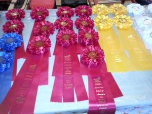 Award Ribbons, McGough Arena, Fletcher NC