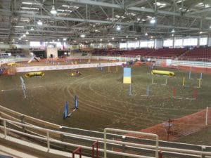 Agility Ring View, McGough Arena, Fletcher NC