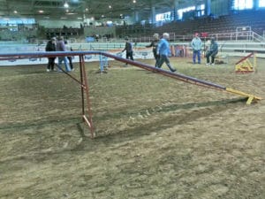 Equip, DogWalk, McGough Arena, Fletcher NC