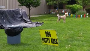 Potty Area, Tam O'Shanter, Toledo OH