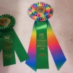 Award Ribbons, Argus Ranch, Auburn WA