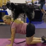 Dog Yoga, Canine Sports Zone, Middleton WI