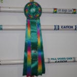 Large rainbow and glitter ribbon and three agility catch bars
