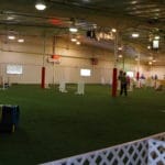 Agility Ring, Canine Sports Zone, Middleton WI