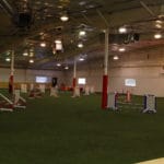 Agility Ring, Canine Sports Zone, Middleton WI