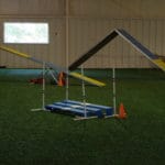 Broad Jump, Canine Sports Zone, Middleton WI