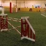 Double Jump, Canine Sports Zone, Middleton WI