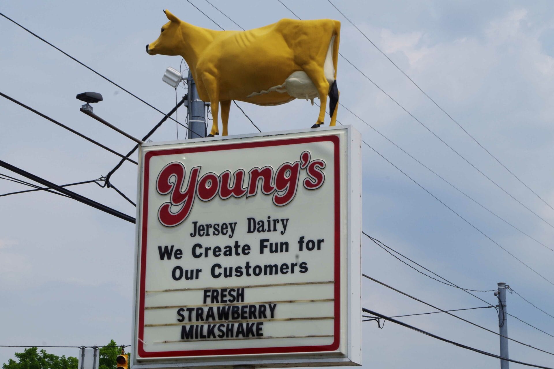 Outdoor Sign for Youngs Jersey Dairy with cow statue on top