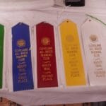 Flat ribbons, first through 4th place and Q ribbons for dog agilty at Niles Wellness Center, Niles OH