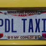 License plate that reads PDL TAXI (for Poodle Taxi)