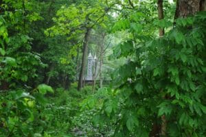 Suspension bridge towers visible through greenery at Mill Creek Metro Park, Youngstown OH