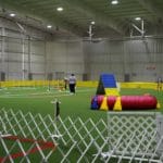Standard agility ring at Niles Wellness Center, Niles OH