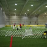 jumpers agility ring at Niles Wellness Center, Niles OH