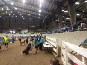 Ring staging area and spectator viewing at T. Ed Garrison Arena, Pendleton SC