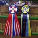 MACH and PACH ribbons