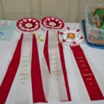Agility Champion Ribbons SportsZone-NorthumberlandPA