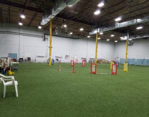 Agility ring with poles at Oriole DTC, Halethorpe MD