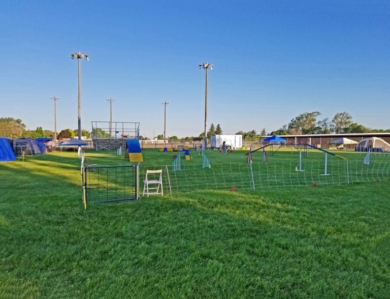 No Boredom at the Eastern Idaho Fairgrounds Spring Classic Dog Shows